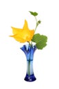 Courgette flower in vase