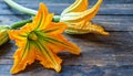 Courgette flowers, copyspace on a side