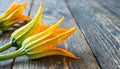 Courgette flowers, copyspace on a side