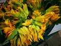 Courgette flowers