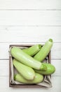 Courgette green agriculture, zucchini food. Freshness ingredient cuisine. Copy space for text