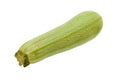 Courgette green spotted vegetable for cooking vegetarian and healthy food.