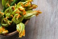 Courgettes with their flower Royalty Free Stock Photo