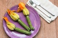 Courgettes with their flower Royalty Free Stock Photo