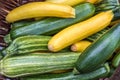 Courgettes zucchini marrow in a basked freshly picked on a farmers market day. Vivid green and yellow colors concept