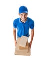 Courier with boxes in blue uniform looking at camera Royalty Free Stock Photo