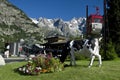 courmayeur bus station Royalty Free Stock Photo