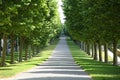 Cours Dajot public garden with avenues lined with elm trees, knee-high box hedges and lawns. Best, Brittany, France.