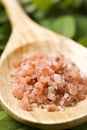 Course pink Himalayan salt on a wooden spoon Royalty Free Stock Photo