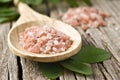 Course pink Himalayan salt on a wooden spoon