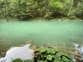 The course of the river Kupa directly below the mountain karst spring - Razloge, Croatia /Tok rijeke Kupe kod izvora Royalty Free Stock Photo