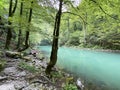 The course of the river Kupa directly below the mountain karst spring - Razloge, Croatia /Tok rijeke Kupe kod izvora Royalty Free Stock Photo