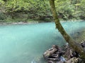 The course of the river Kupa directly below the mountain karst spring - Razloge, Croatia /Tok rijeke Kupe kod izvora Royalty Free Stock Photo