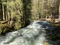 The course of the river Orbe between the cave or spring and the settlement of Vallorbe der Fluss Orbe or le fleuve de l`Orbe Royalty Free Stock Photo