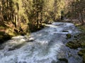 The course of the river Orbe between the cave or spring and the settlement of Vallorbe der Fluss Orbe or le fleuve de l`Orbe Royalty Free Stock Photo