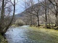 The course of the river Orbe between the cave or spring and the settlement of Vallorbe der Fluss Orbe or le fleuve de l`Orbe Royalty Free Stock Photo