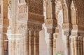 Court of the Lions surrounding with arches and columns decorated incredible details of stucco yeseria decoration, with sebka motif