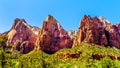 The Patriarchs, Abraham Peak, Isaac Peak and Jacob Peak, in Zion National Park in Utah, United Sates Royalty Free Stock Photo