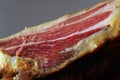 Court of a typical Jamon Iberico ham from Spain