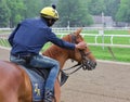 Courted at Saratoga