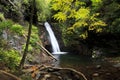 Courthouse Falls in the Pisgah National Forest Royalty Free Stock Photo