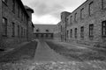 Courtyard between the barracks of the Auschwitz concentration camp black and white photo