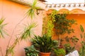 Courtyard Detail Patio Relax Closeup Royalty Free Stock Photo