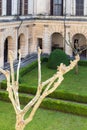 Courtyard in Ducal Palace in Mantua in spring