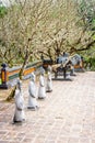 Courtyard flanked with statues, Tu Duc Tomb, Hue, Vietnam Royalty Free Stock Photo