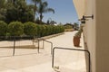 Courtyard garden