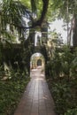 Courtyard garden, Parroquia San Pedro Claver Royalty Free Stock Photo