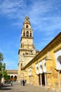 Courtyard of the Great Mosque in Cordoba