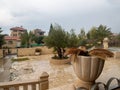 The courtyard of the Greek Orthodox Wedding Church, Kfar Kana, Israel Royalty Free Stock Photo