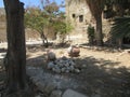 The courtyard of the medieval Turkish fortress in Limassol, northern Cyprus.