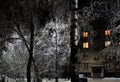 The courtyard of a multistory apartment building at night. Several windows glow in the dark. Birch covered with snow. Russia. Royalty Free Stock Photo