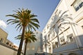 Courtyard with palm trees in historical Bairro Alto quarter, Lisbon Portugal