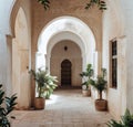 Courtyard With Potted Plants and Arched Doorways