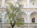 Courtyard of Royal Stallburg School of Classical Horsemanship with tree in Vienna, Austria Royalty Free Stock Photo