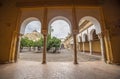 Courtyard taken from porticoed sorrouding area. Mosque of Cordoba, Spain