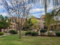 Courtyard view at Arroyo Roble Resort in Sedona AZ