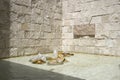 Courtyard water Getty Museum