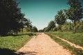 Country road dirt track lined with trees on a hot summer day Royalty Free Stock Photo