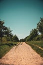 Country road dirt track lined with trees on a hot summer day Royalty Free Stock Photo