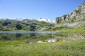 Covadonga lake