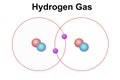 Covalent bond of the hydrogen molecule