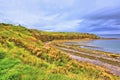 Cove bay with cliffs on the east coast of Scotland Royalty Free Stock Photo