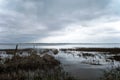 A cove on a cloudy and overcast day during springtime. Royalty Free Stock Photo