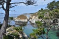 Cove at Point Lobos Royalty Free Stock Photo