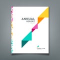 Cover Annual report colorful triangle paper layout design