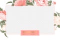 Cover design, transparent product package window, and peony flower border. Regenerate cream label design with pink peony Royalty Free Stock Photo